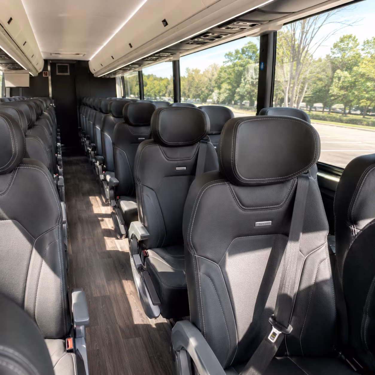 arrange transportation for your next concert or music festival 4